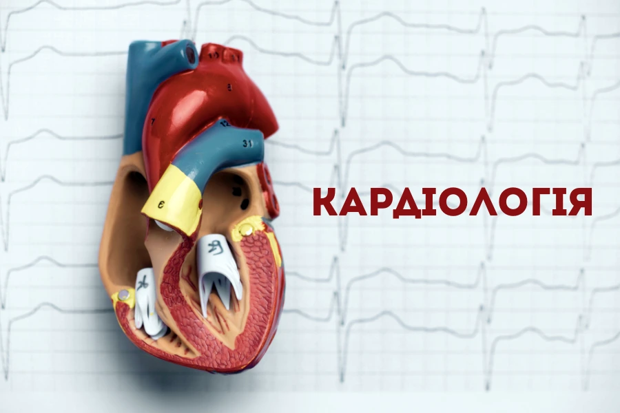 Кардіологія  Чому Серце Потребує Особливої Уваги Після 40 Років?