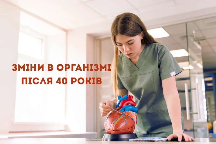 Зміни В Організмі Після 40 Років
