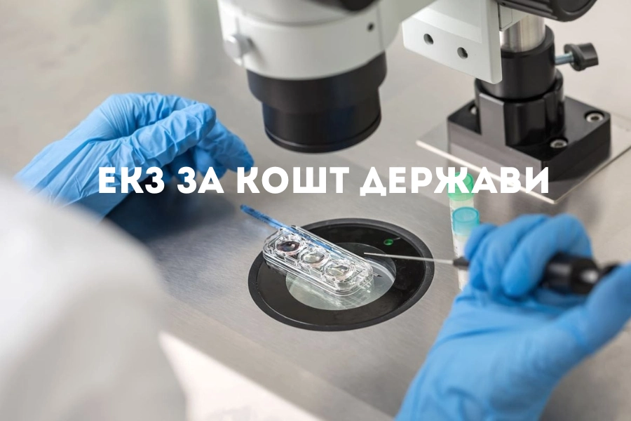 Екз За Кошт Держави – Як Це Працює