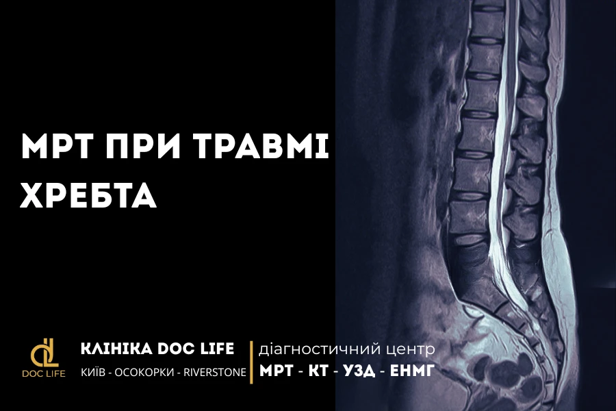 Мрт При Травмі Хребта 6
