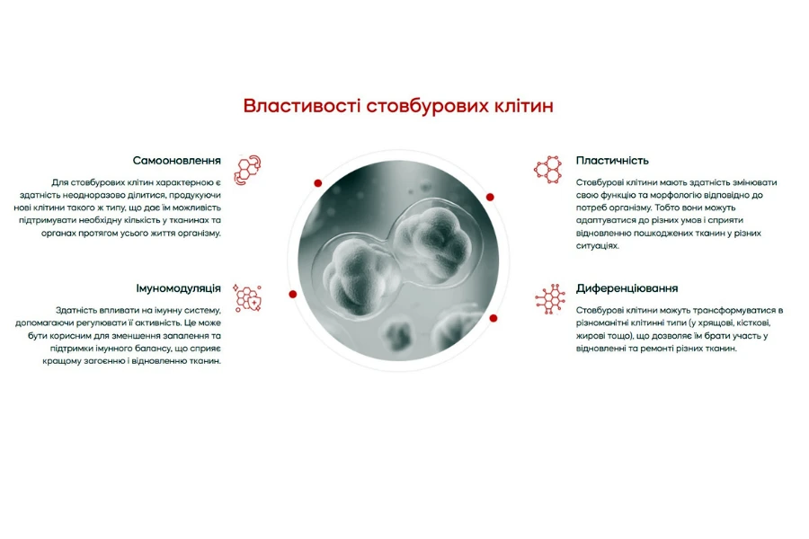 Стовбурові клітини в лікуванні неврологічних захворювань у 2025–2026 роках: що вже працює в клінічній практиці України та світу 12 Stovburovi Klityny 1