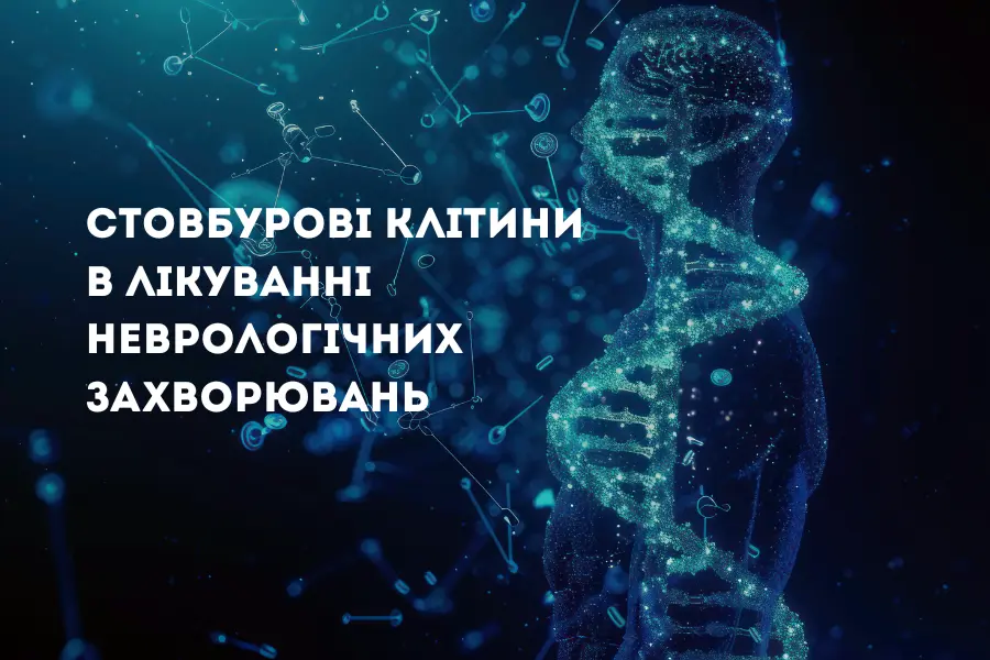 Stovburovi Klityny 2