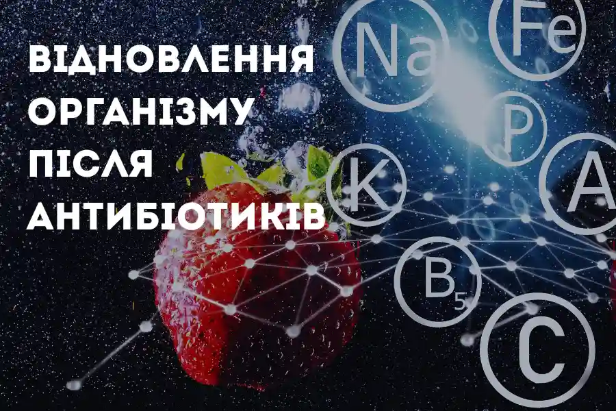 Відновлення мікрофлори після антибіотиків Відновлення Мікрофлори Після Антибіотиків