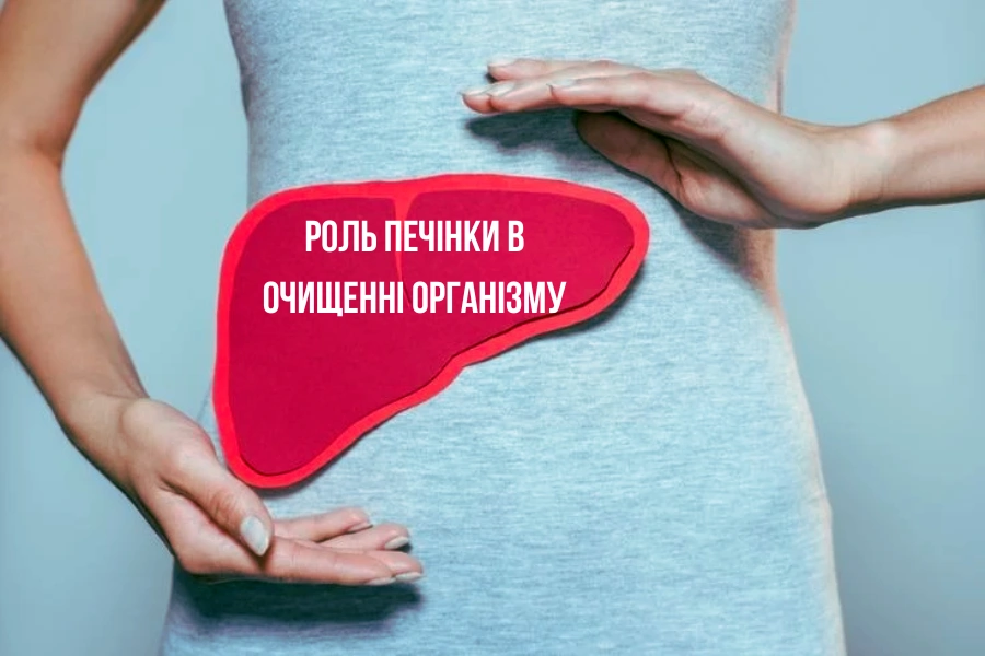 Токсини В Організмі: Як Покращити Функцію Печінки Та Вивести Шкідливі Речовини?